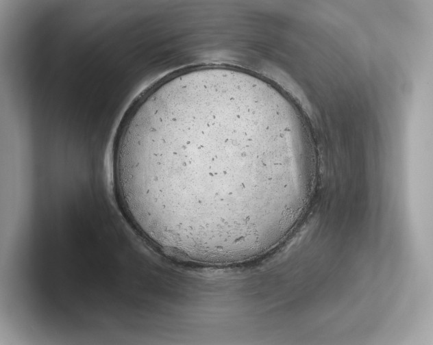 X0000101471032200807281015