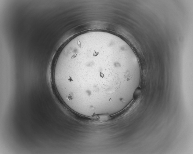 X0000101471034200807281015