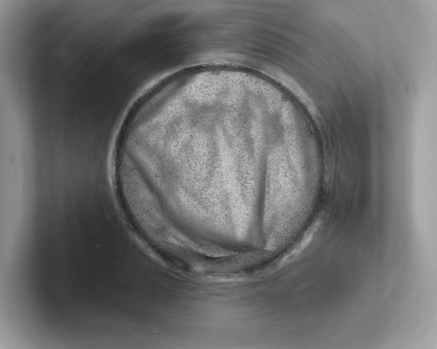 X0000101471037200807281015