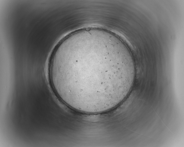 X0000101471038200807281015