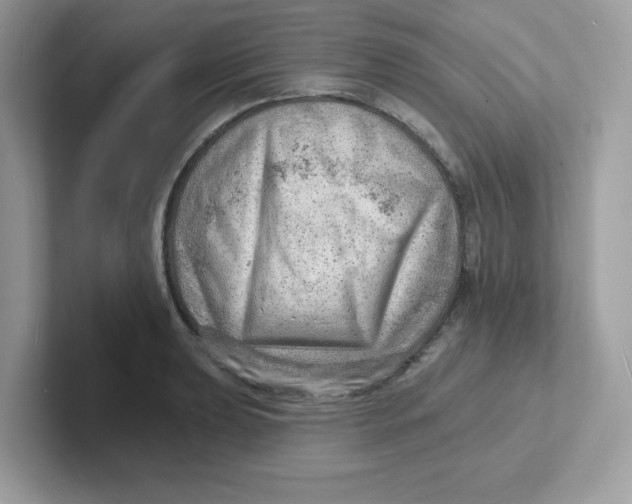 X0000101471039200807281015