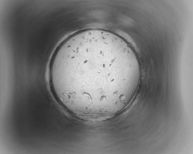 X0000101471040200807281015