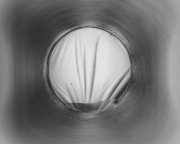 X0000101471044200807281015