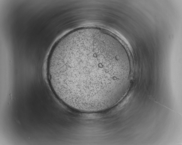 X0000101471045200807281015