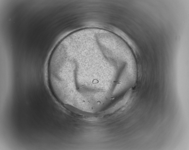 X0000101471048200807281015