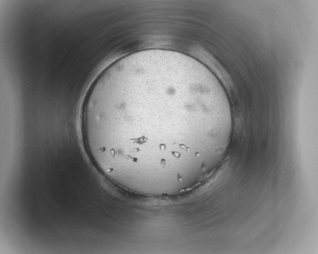 X0000101471050200807281015