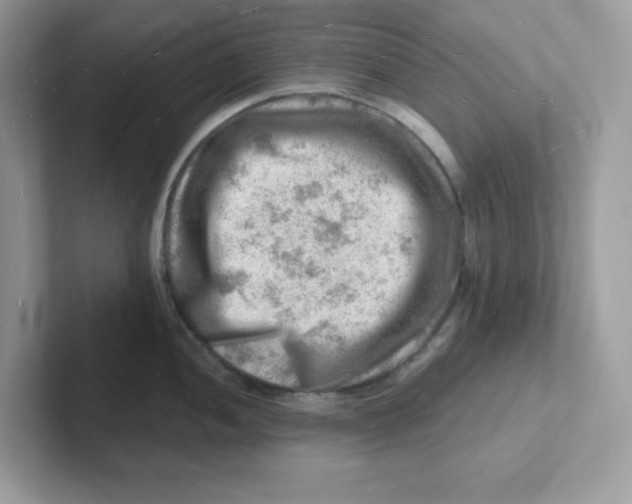 X0000101471052200807281015