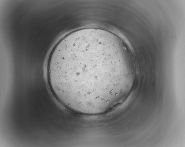 X0000101471054200807281015