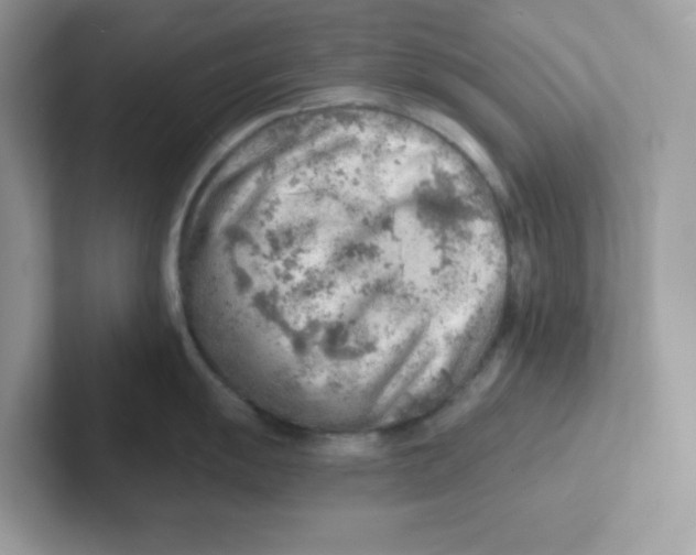 X0000101471055200807281015