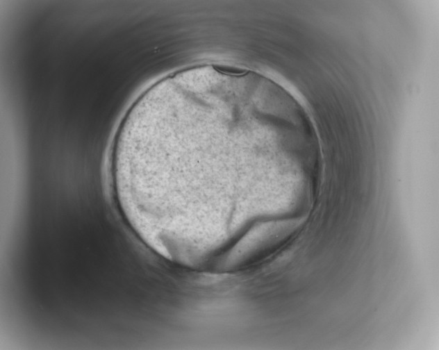 X0000101471056200807281015