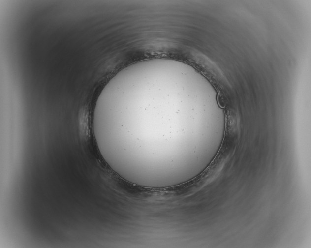 X0000101471060200807281015