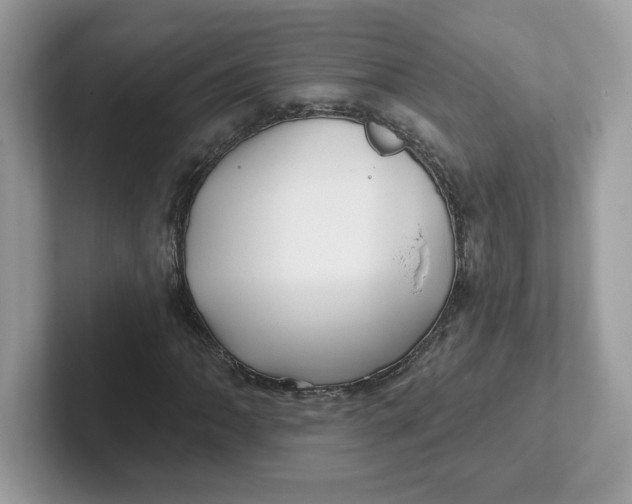 X0000101471062200807281015