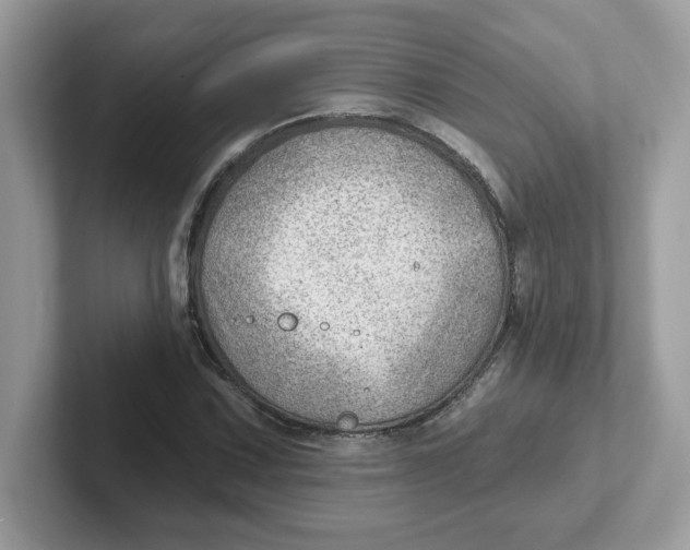 X0000101471067200807281015