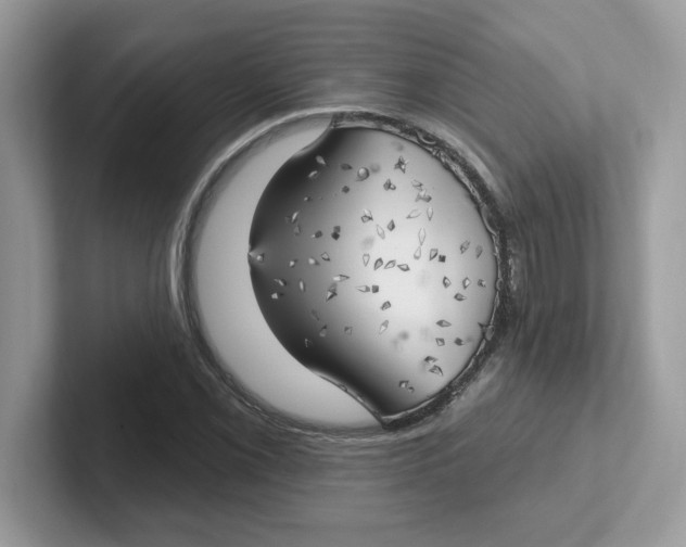 X0000101471069200807281015