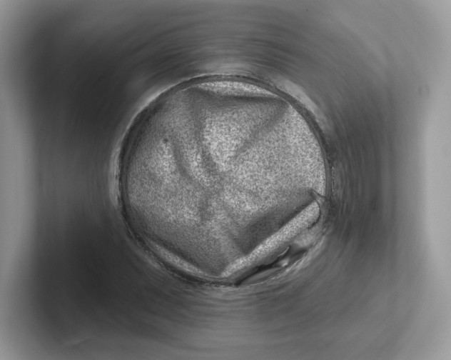 X0000101471071200807281015