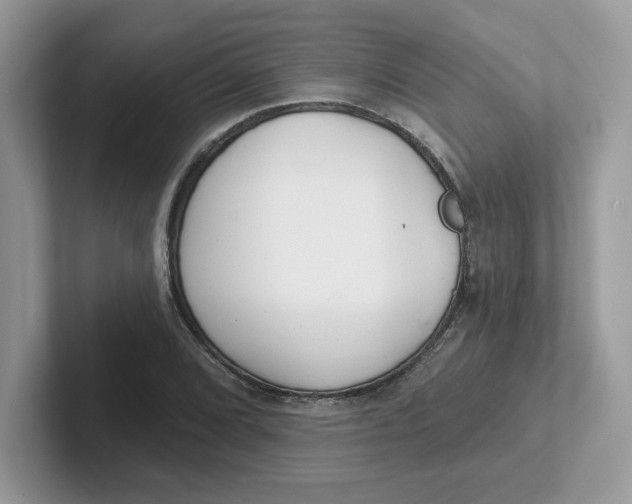 X0000101471072200807281015