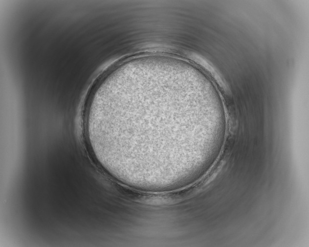 X0000101471074200807281015