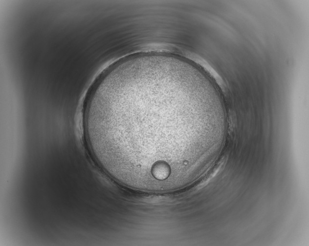 X0000101471075200807281015