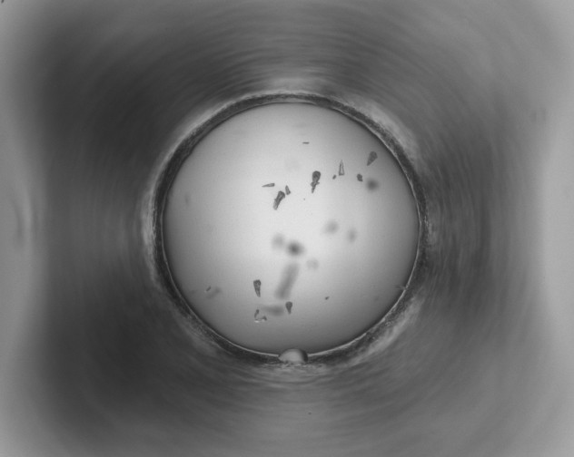 X0000101471077200807281015