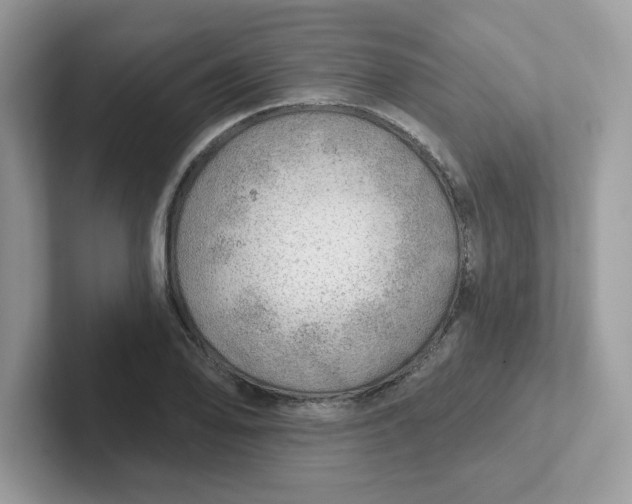 X0000101471078200807281015