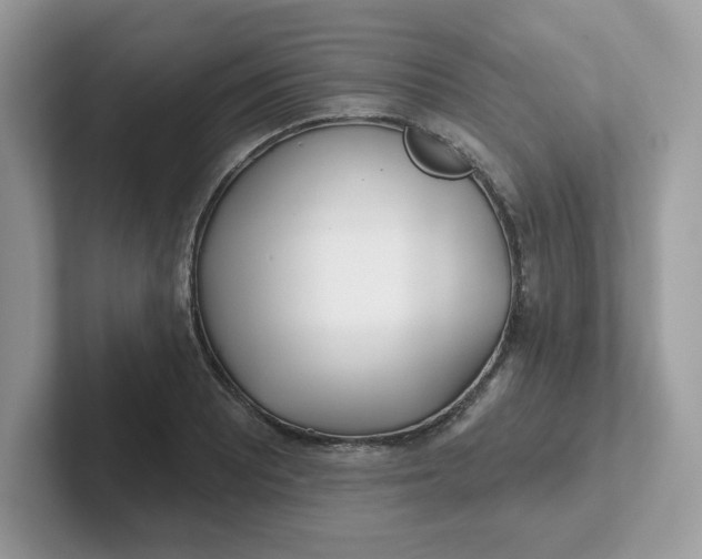 X0000101471081200807281015