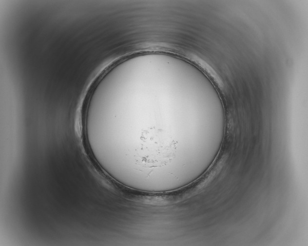 X0000101471082200807281015