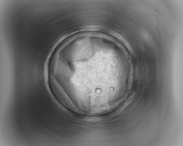 X0000101471083200807281014