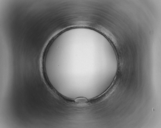 X0000101471085200807281014