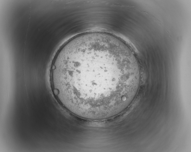 X0000101471086200807281014