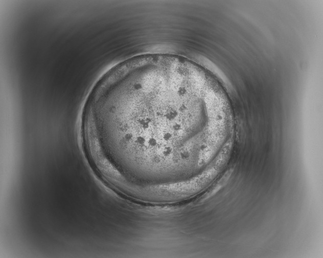 X0000101471087200807281014