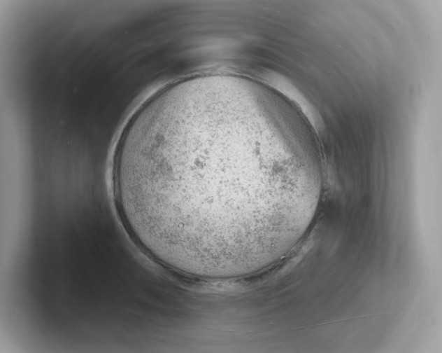 X0000101471090200807281014