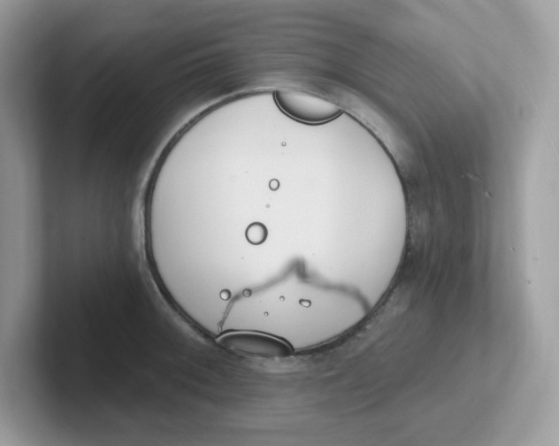 X0000101471092200807281014