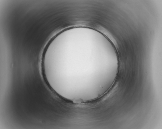 X0000101471093200807281014