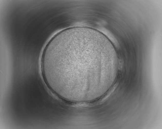 X0000101471094200807281014