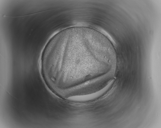 X0000101471095200807281014