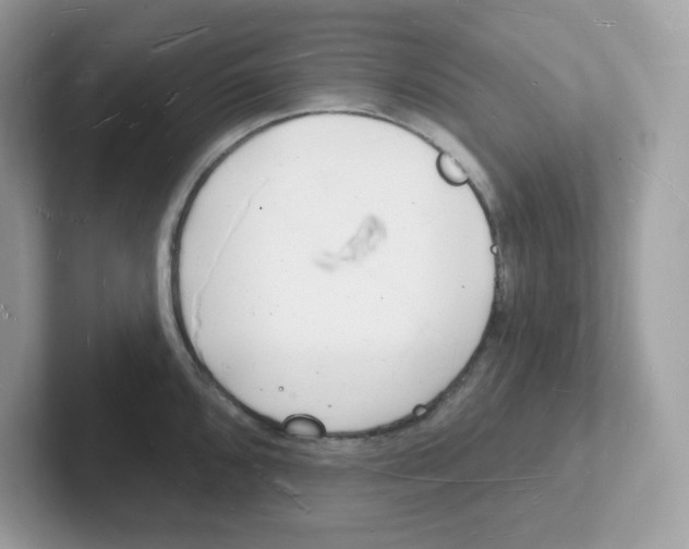 X0000101471096200807281014