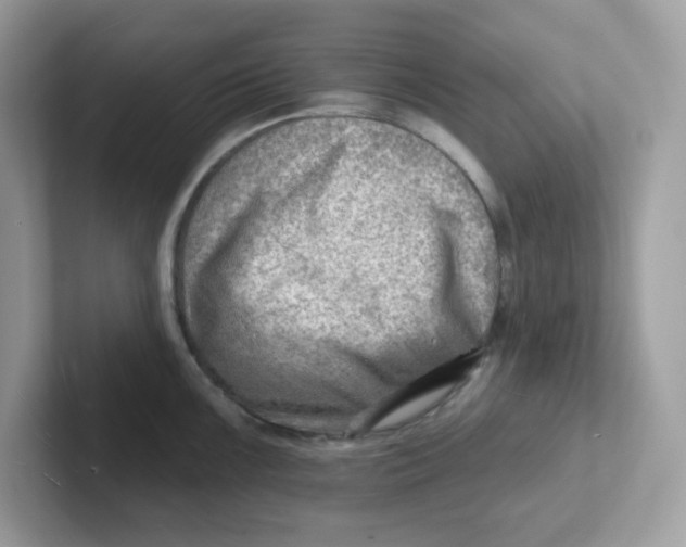 X0000101471099200807281014