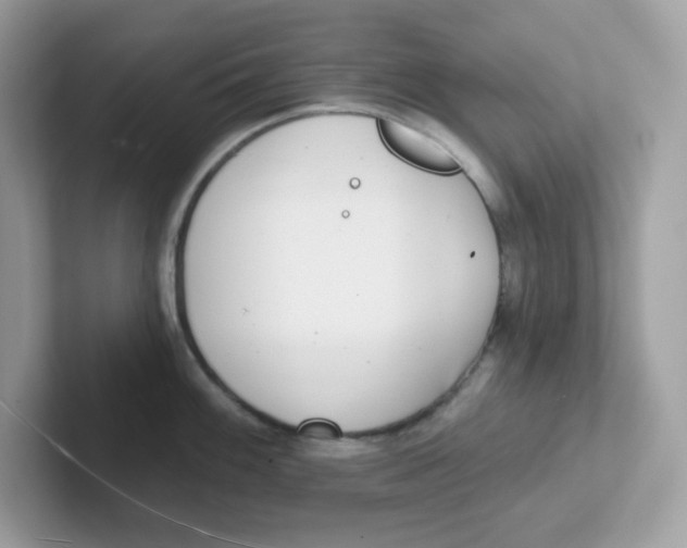 X0000101471100200807281014