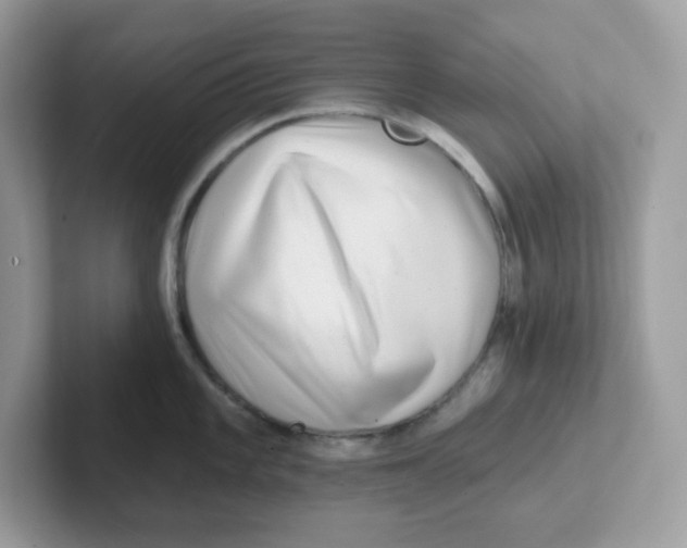 X0000101471101200807281014