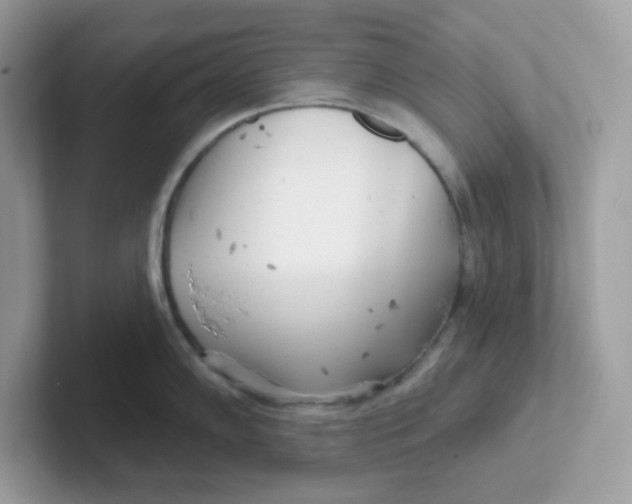 X0000101471102200807281014