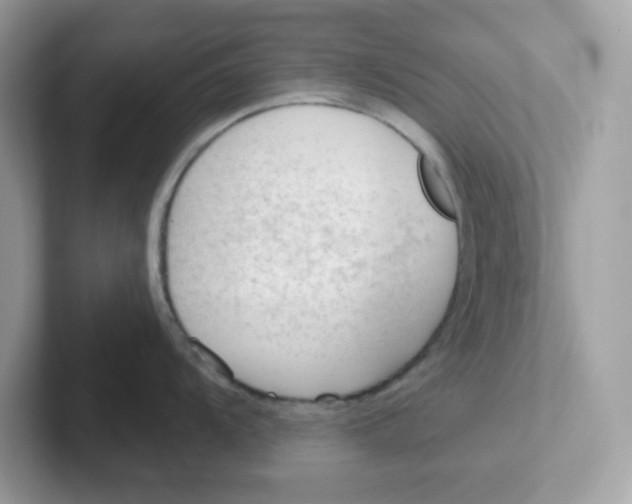 X0000101471104200807281014