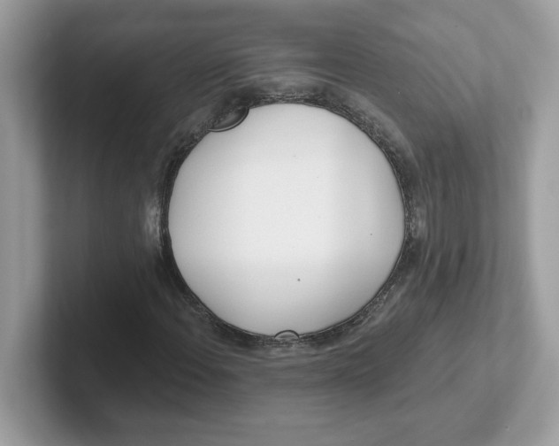 X0000101471108200807281014