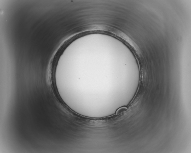 X0000101471116200807281014