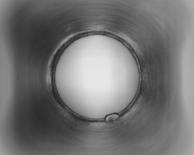 X0000101471118200807281014