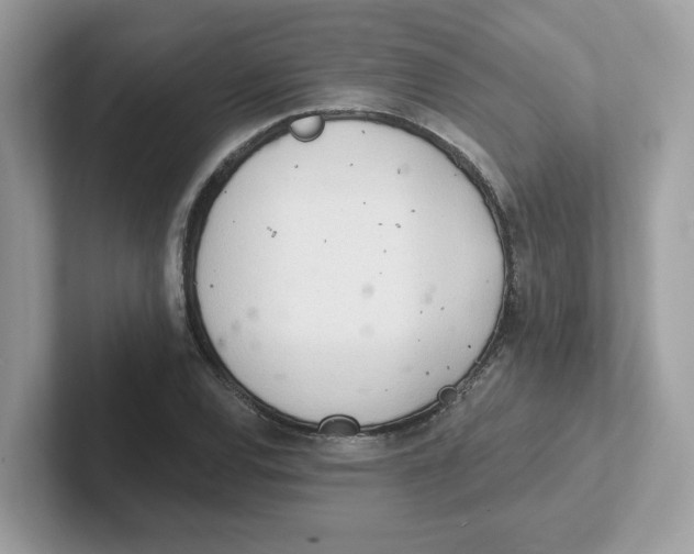 X0000101471120200807281014