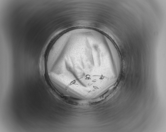 X0000101471123200807281014