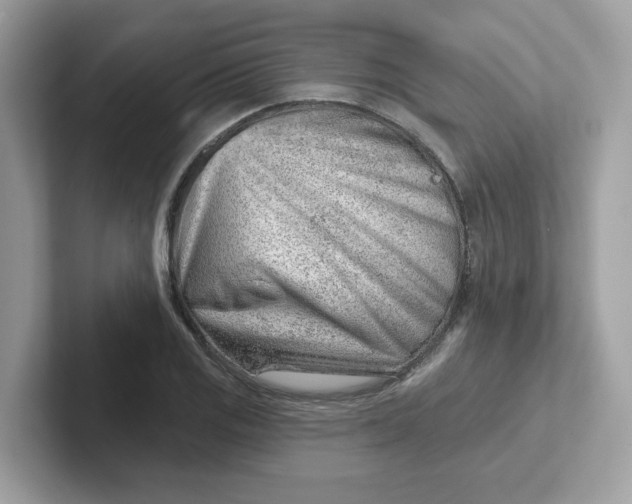 X0000101471125200807281014