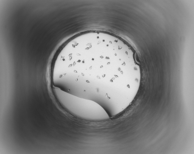 X0000101471128200807281014