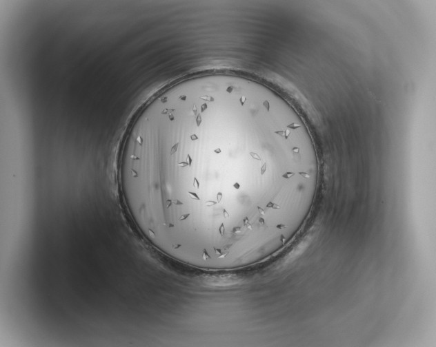 X0000101471129200807281014