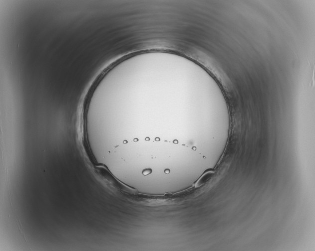 X0000101471132200807281014